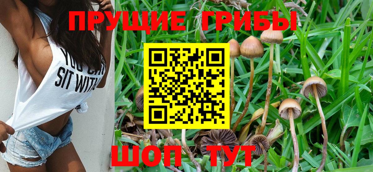 Псилоцибиновые грибы MAGIC MUSHROOMS  Вход с VPN  Избербаш 