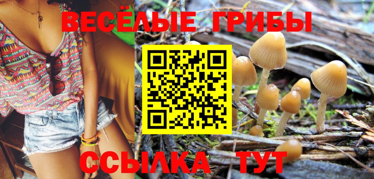 Галлюциногенные грибы MAGIC MUSHROOMS Избербаш