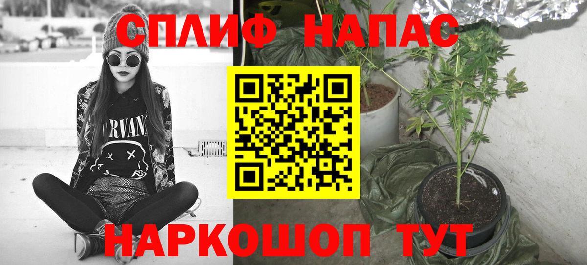 Бошки Шишки марихуана Избербаш